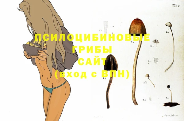 экстази Покачи
