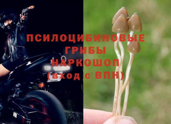 таблы Покровск